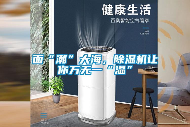 面“潮”大海，除濕機(jī)讓你萬無一“濕”