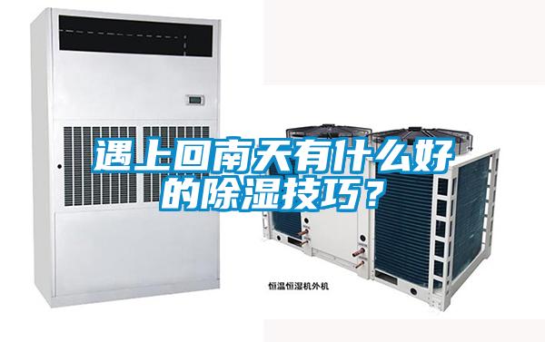 遇上回南天有什么好的除濕技巧？