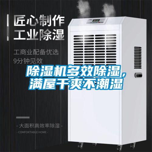 除濕機多效除濕，滿屋干爽不潮濕