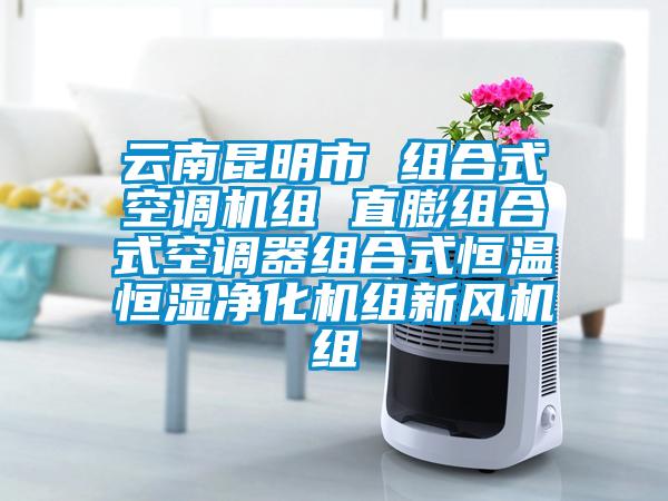 云南昆明市 組合式空調(diào)機組 直膨組合式空調(diào)器組合式恒溫恒濕凈化機組新風(fēng)機組
