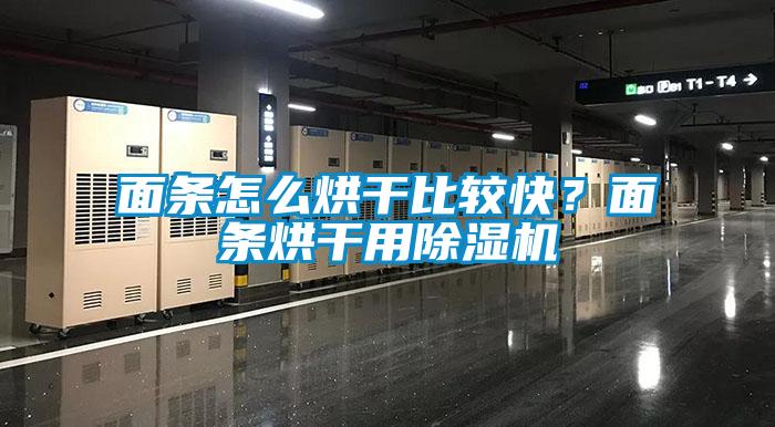 面條怎么烘干比較快？面條烘干用除濕機(jī)