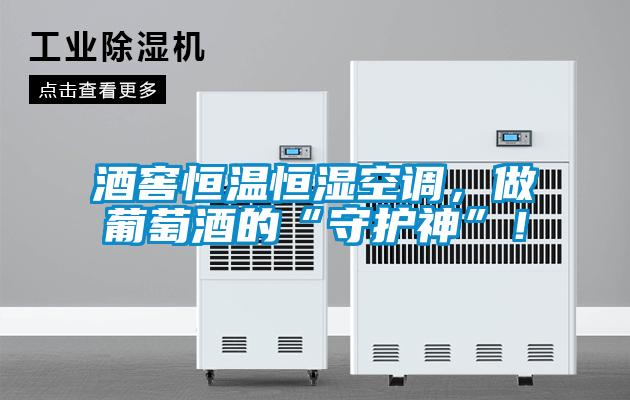 酒窖恒溫恒濕空調(diào)，做葡萄酒的“守護(hù)神”！