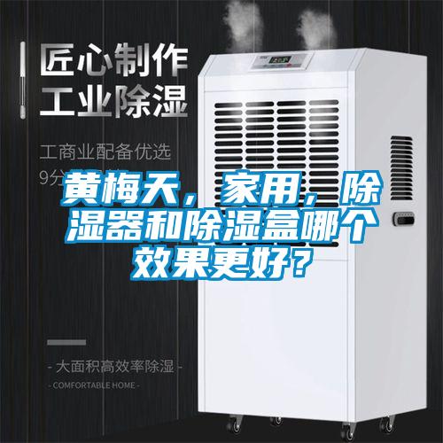 黃梅天，家用，除濕器和除濕盒哪個效果更好？
