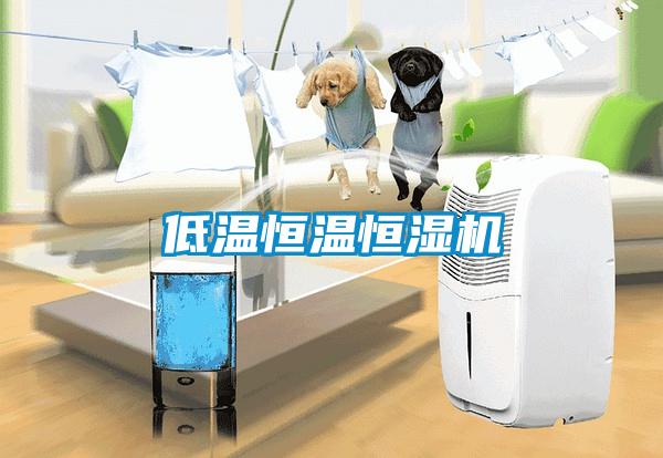 低溫恒溫恒濕機(jī)