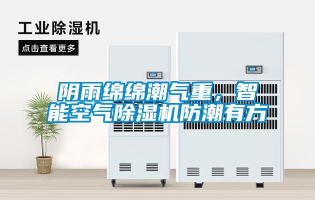 陰雨綿綿潮氣重，智能空氣除濕機防潮有方