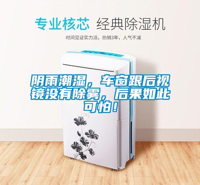 陰雨潮濕，車窗跟后視鏡沒有除霧，后果如此可怕！