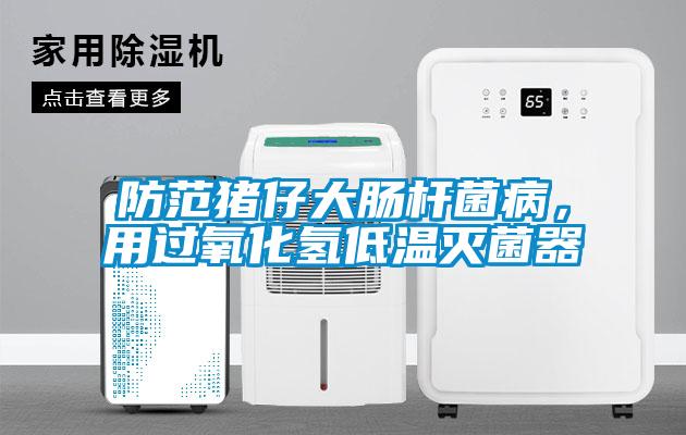 防范豬仔大腸桿菌病，用過氧化氫低溫滅菌器