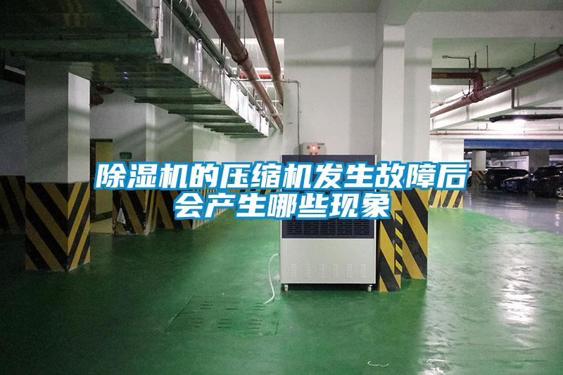 除濕機的壓縮機發(fā)生故障后會產生哪些現(xiàn)象