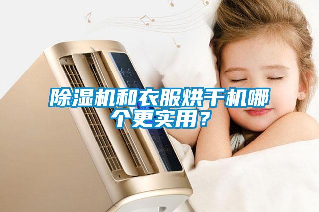 除濕機(jī)和衣服烘干機(jī)哪個(gè)更實(shí)用？
