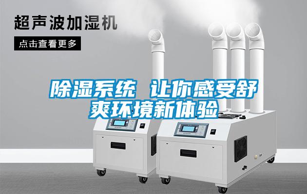 除濕系統(tǒng) 讓你感受舒爽環(huán)境新體驗(yàn)