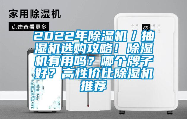 2022年除濕機／抽濕機選購攻略！除濕機有用嗎？哪個牌子好？高性價比除濕機推薦