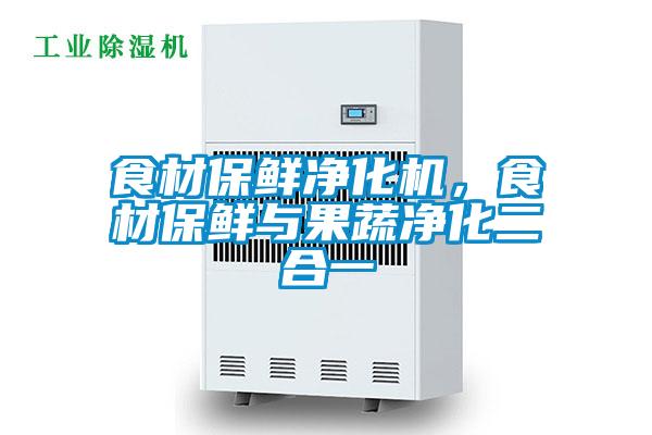 食材保鮮凈化機(jī)，食材保鮮與果蔬凈化二合一