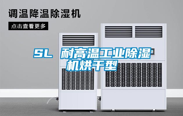 SL 耐高溫工業(yè)除濕機(jī)烘干型