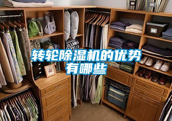 轉輪除濕機的優(yōu)勢有哪些