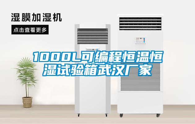 1000L可編程恒溫恒濕試驗(yàn)箱武漢廠家