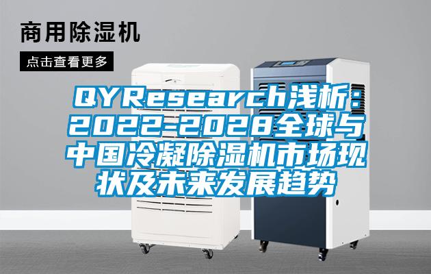 QYResearch淺析：2022-2028全球與中國冷凝除濕機市場現(xiàn)狀及未來發(fā)展趨勢