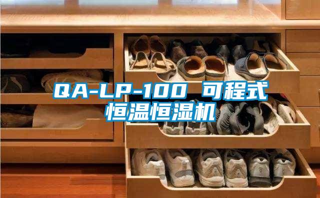 QA-LP-100 可程式恒溫恒濕機(jī)