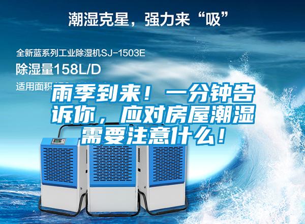 雨季到來！一分鐘告訴你，應(yīng)對房屋潮濕需要注意什么！