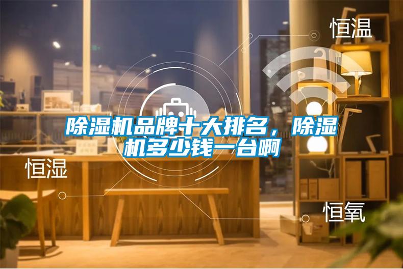除濕機(jī)品牌十大排名，除濕機(jī)多少錢一臺(tái)啊
