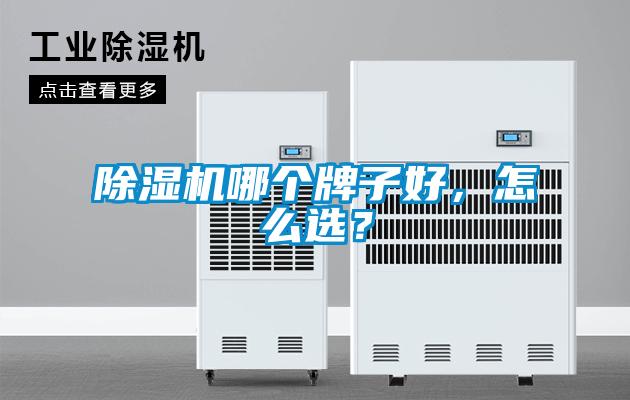 除濕機哪個牌子好，怎么選？