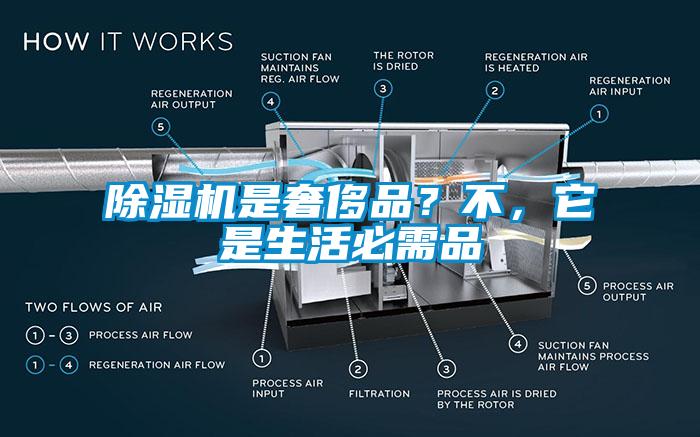 除濕機(jī)是奢侈品？不，它是生活必需品