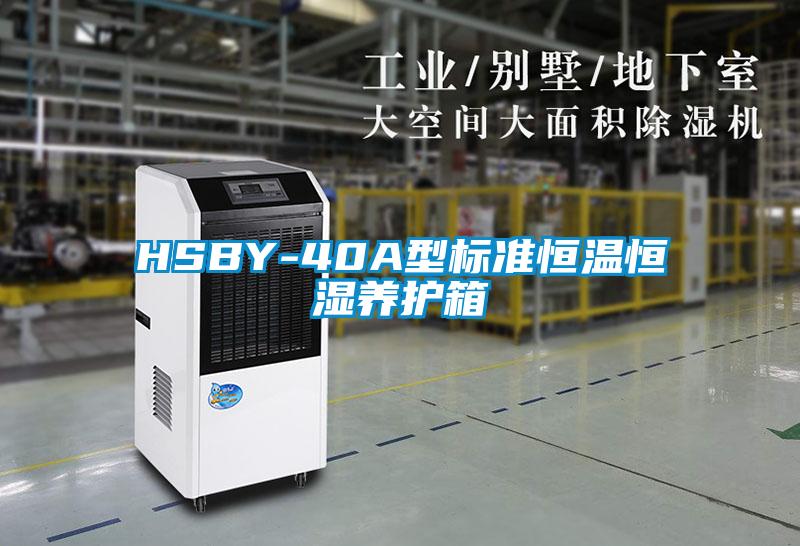 HSBY-40A型標準恒溫恒濕養(yǎng)護箱