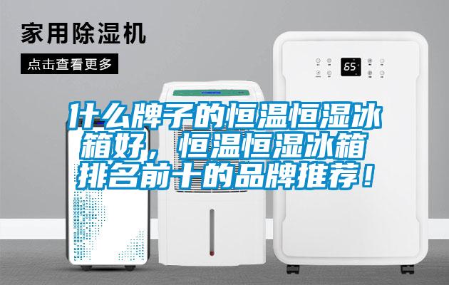 什么牌子的恒溫恒濕冰箱好，恒溫恒濕冰箱排名前十的品牌推薦！