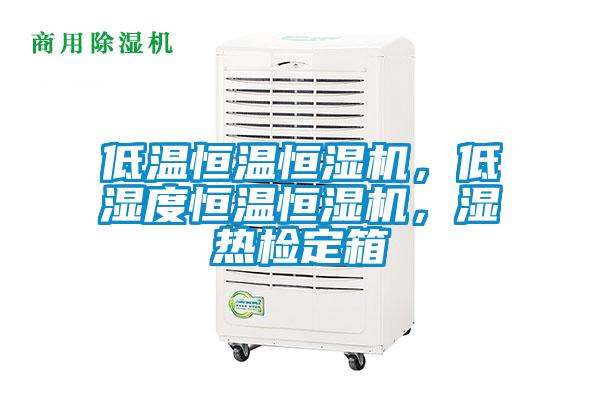 低溫恒溫恒濕機(jī)，低濕度恒溫恒濕機(jī)，濕熱檢定箱