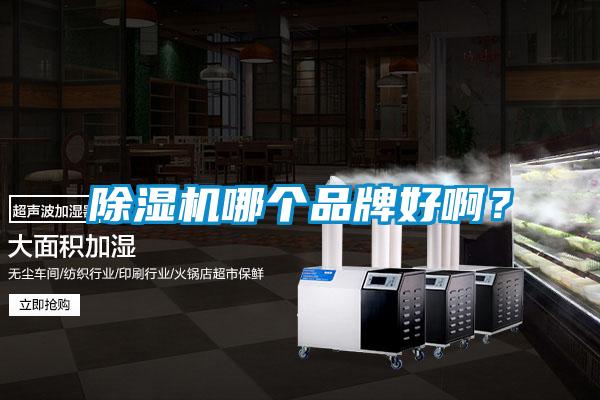 除濕機(jī)哪個(gè)品牌好?。?/></p>
						    <p style=