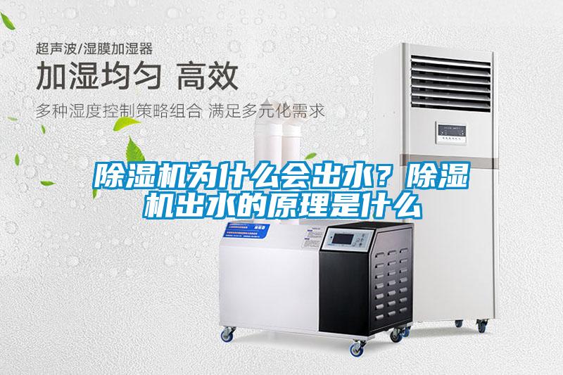 除濕機為什么會出水？除濕機出水的原理是什么