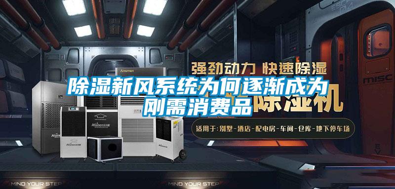 除濕新風系統(tǒng)為何逐漸成為剛需消費品