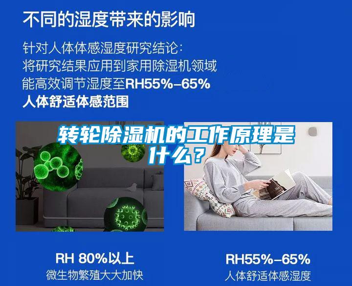轉輪除濕機的工作原理是什么？