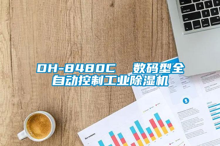 DH-8480C  數(shù)碼型全自動(dòng)控制工業(yè)除濕機(jī)