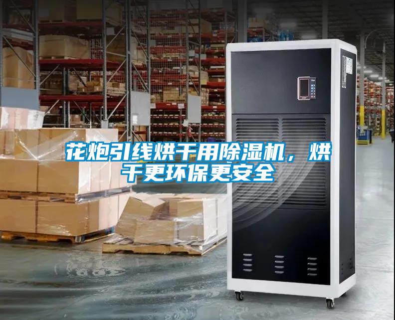 花炮引線烘干用除濕機，烘干更環(huán)保更安全