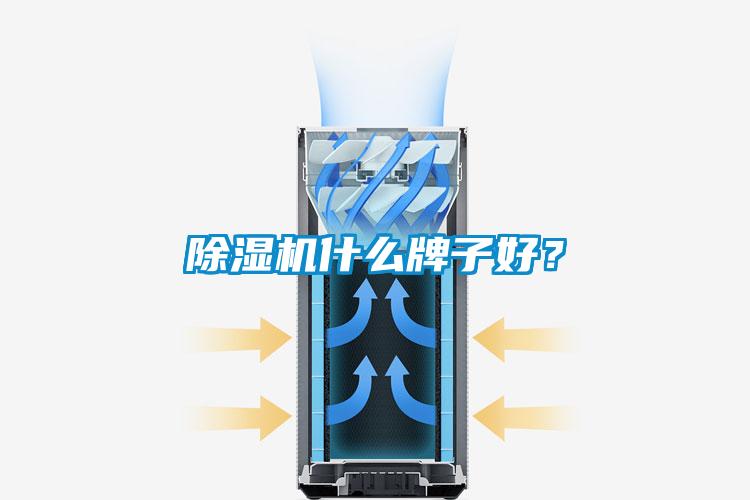 除濕機(jī)什么牌子好？