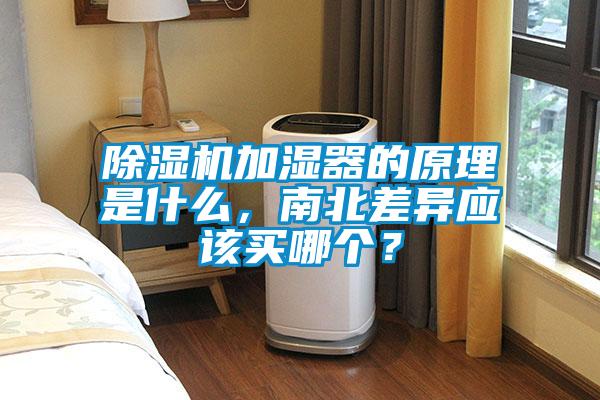 除濕機(jī)加濕器的原理是什么，南北差異應(yīng)該買哪個？