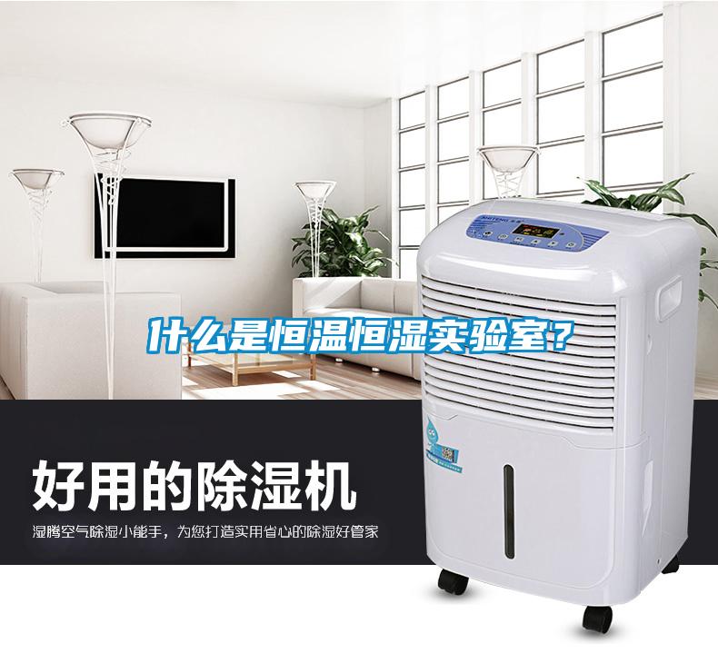 什么是恒溫恒濕實驗室？