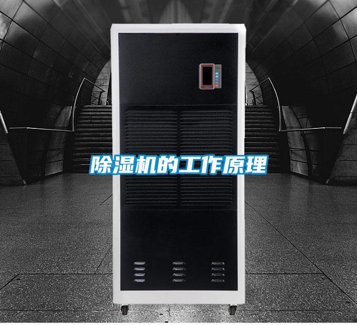 除濕機(jī)的工作原理