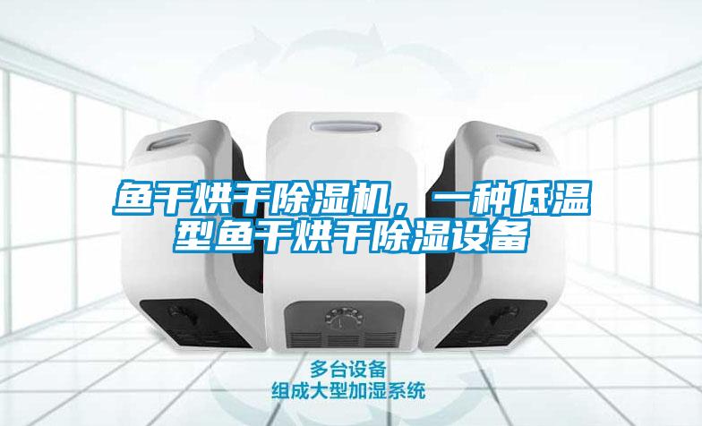 魚(yú)干烘干除濕機(jī)，一種低溫型魚(yú)干烘干除濕設(shè)備