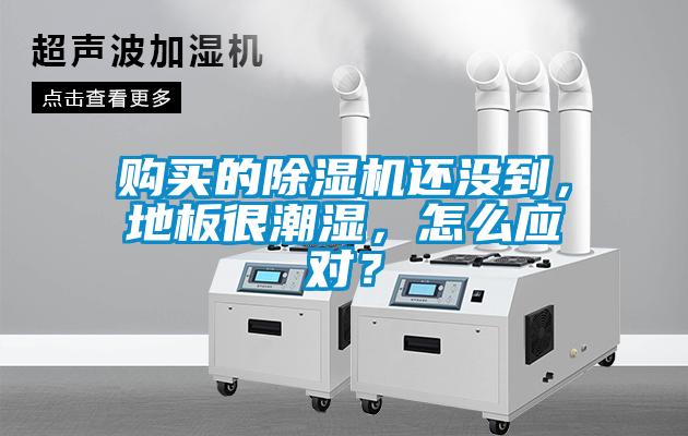 購(gòu)買的除濕機(jī)還沒到,地板很潮濕,怎么應(yīng)對(duì)?