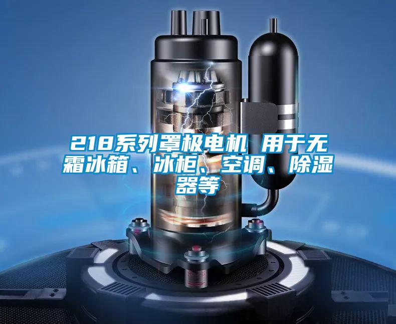 218系列罩極電機(jī) 用于無霜冰箱、冰柜、空調(diào)、除濕器等