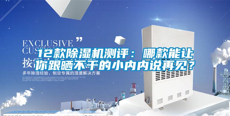 12款除濕機測評：哪款能讓你跟曬不干的小內(nèi)內(nèi)說再見？