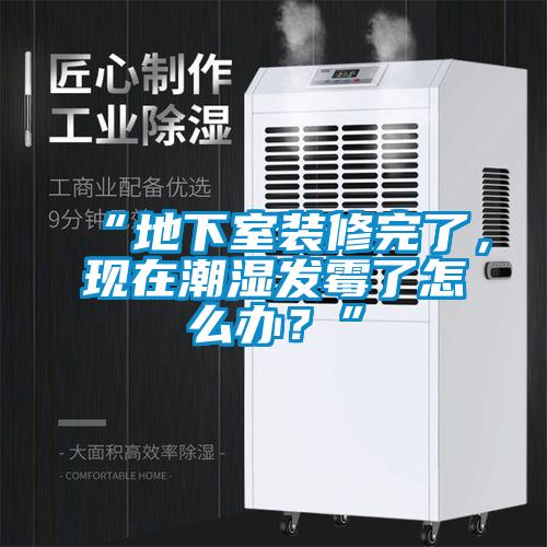 “地下室裝修完了，現(xiàn)在潮濕發(fā)霉了怎么辦？”