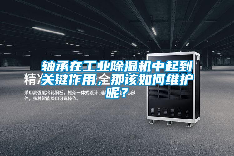 軸承在工業(yè)除濕機(jī)中起到關(guān)鍵作用，那該如何維護(hù)呢？
