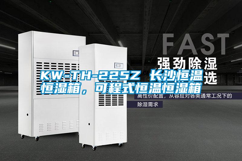 KW-TH-225Z 長(zhǎng)沙恒溫恒濕箱，可程式恒溫恒濕箱