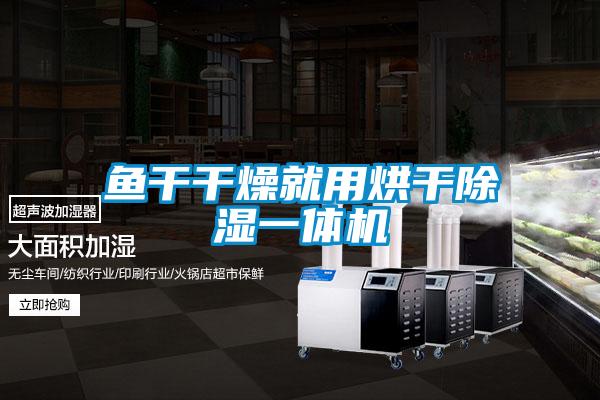 魚干干燥就用烘干除濕一體機(jī)