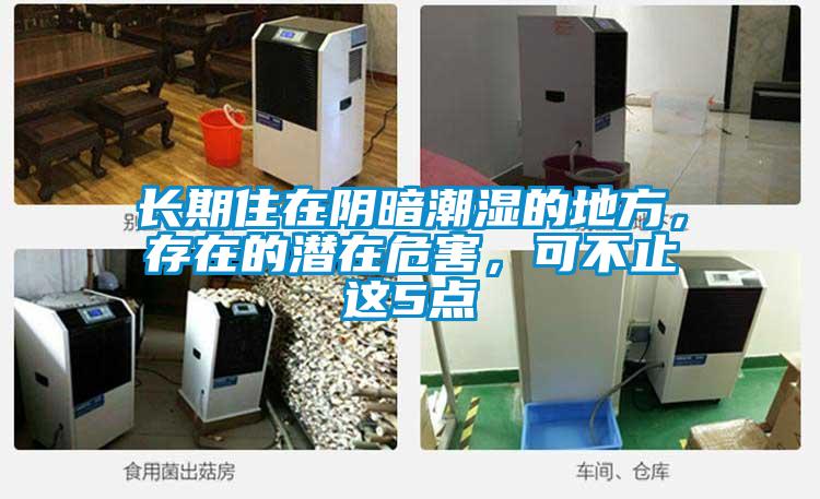 長(zhǎng)期住在陰暗潮濕的地方，存在的潛在危害，可不止這5點(diǎn)