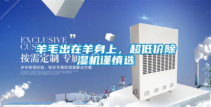 羊毛出在羊身上，超低價除濕機謹慎選