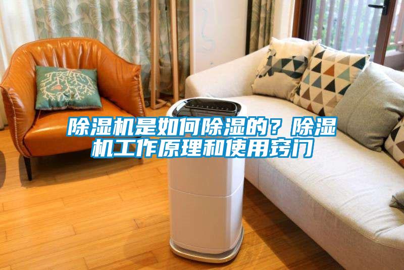 除濕機是如何除濕的？除濕機工作原理和使用竅門