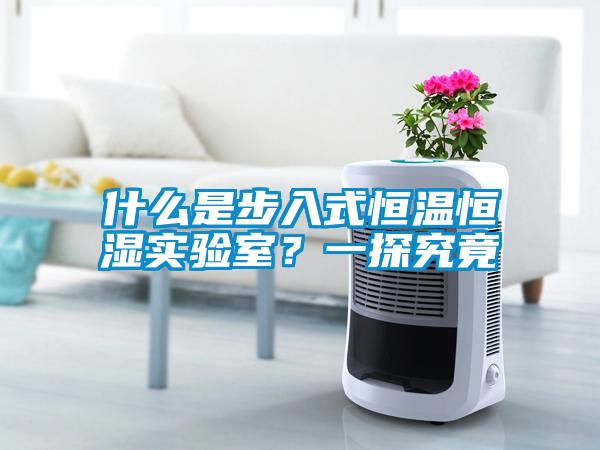 什么是步入式恒溫恒濕實(shí)驗(yàn)室？一探究竟